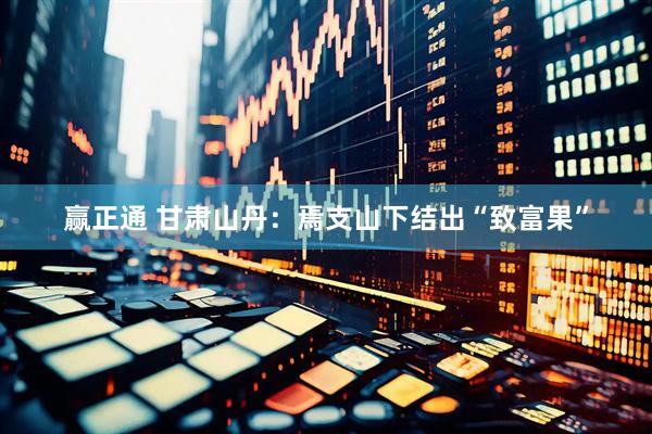赢正通 甘肃山丹：焉支山下结出“致富果”